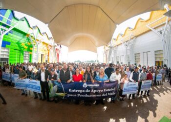 Guanajuato impulsa a sus productores de maíz con una entrega histórica de apoyos