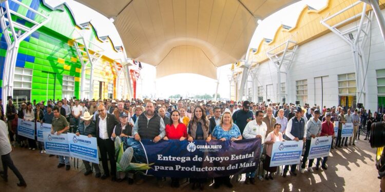 Guanajuato impulsa a sus productores de maíz con una entrega histórica de apoyos