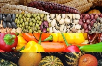 La dieta de la milpa: volver a nuestras raíces para comer mejor