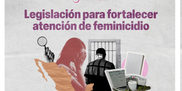 Senado da paso clave contra el feminicidio: aprueban reforma para una ley nacional