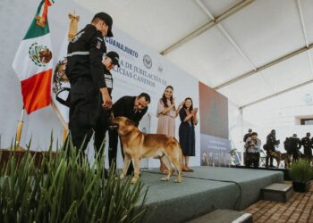 Diez héroes de cuatro patas concluyen su misión en Guanajuato